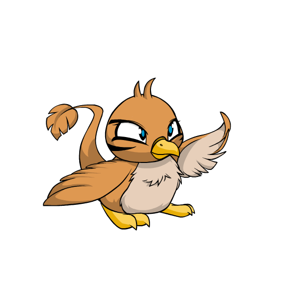 Pteri