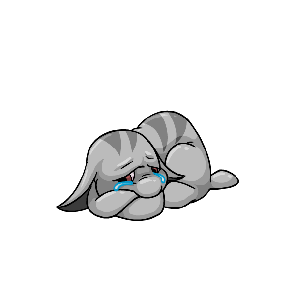 Somber Grey Poogle