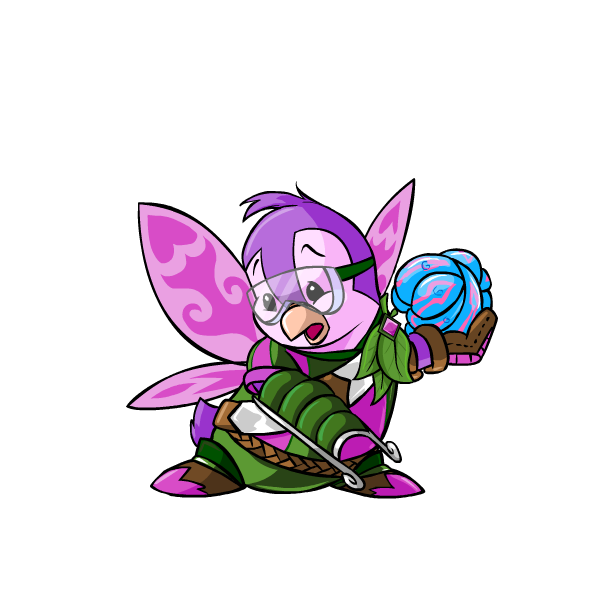 All-Star Essence of Kakoni