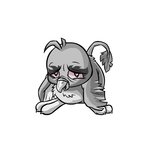 Somber Grey Pteri